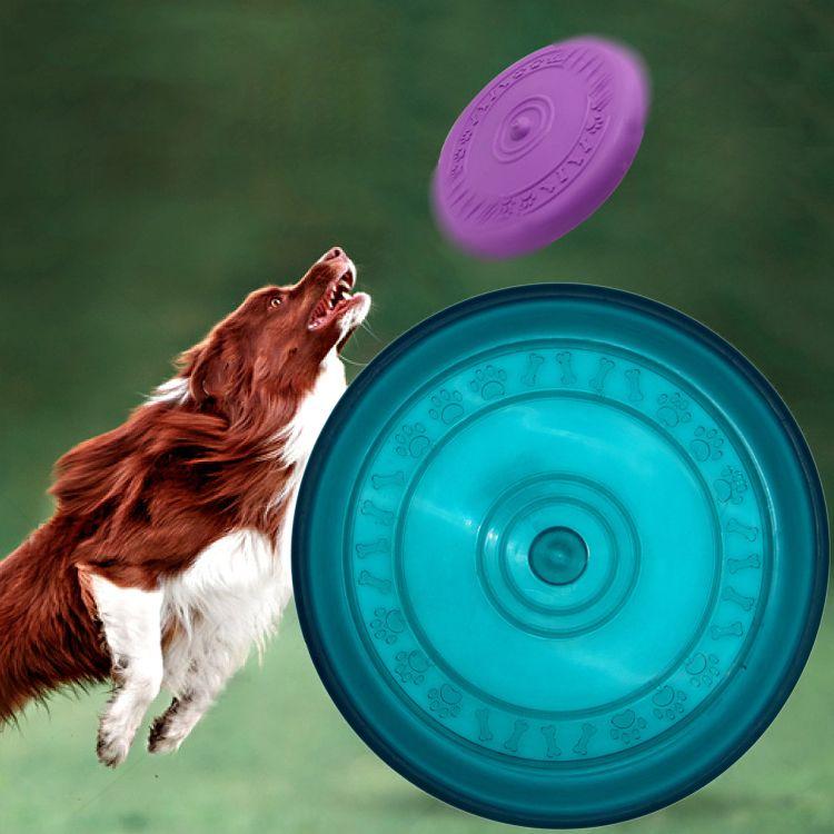Flying disc / Throwing plate / Frisbee - maritime