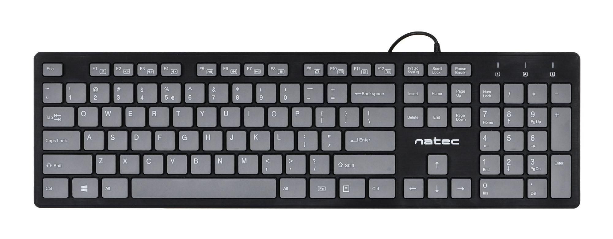 NATEC Discus keyboard USB QWERTY English Black, Grey