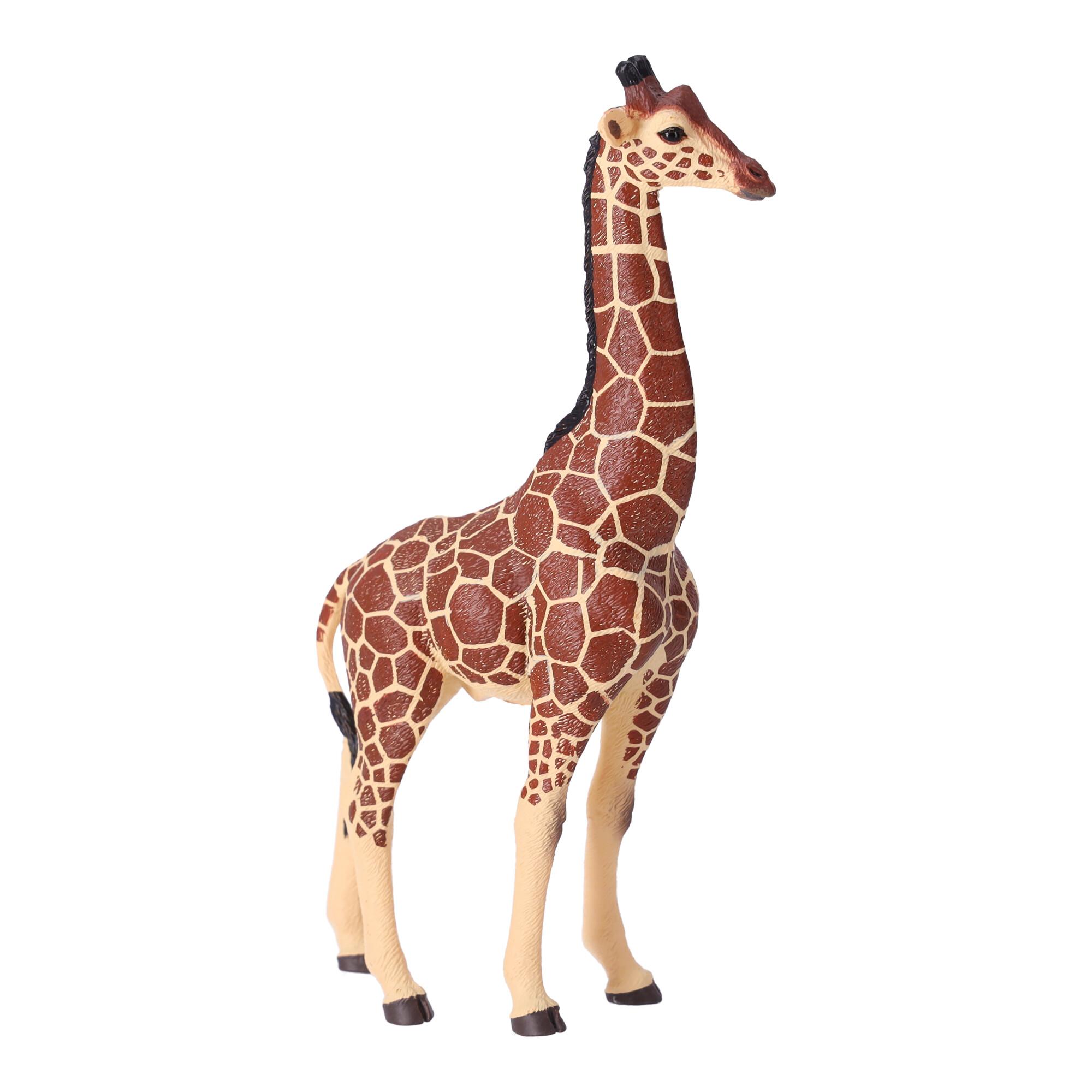 Collector figurine Giraffe male, Papo