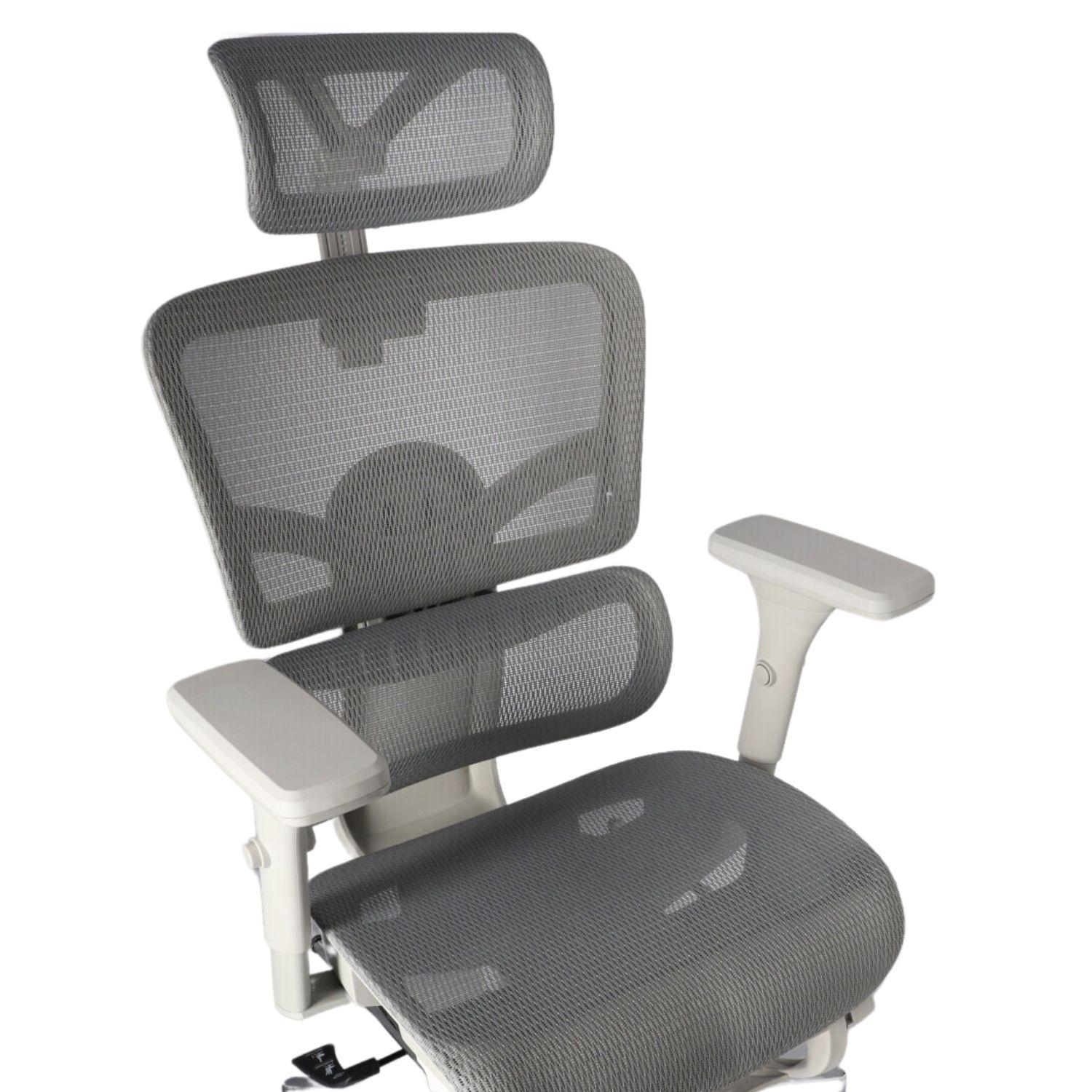 Ergonomic Adjustable Mesh Office Chair - Gray