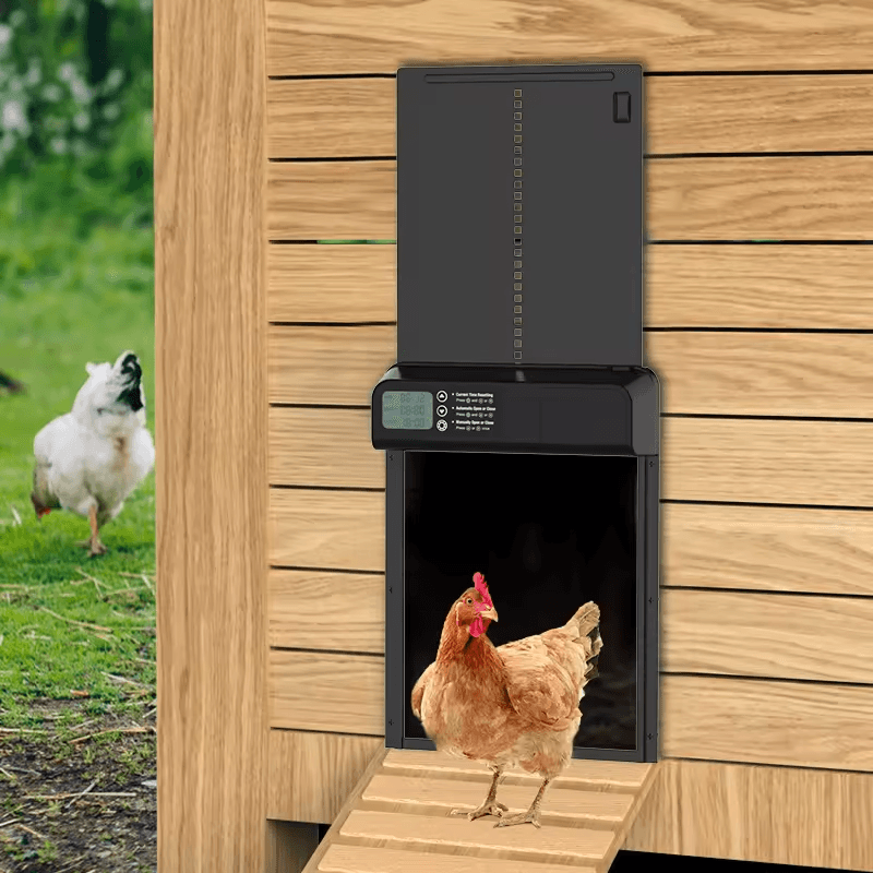 Automatic Chicken Coop Door with Timer - Black