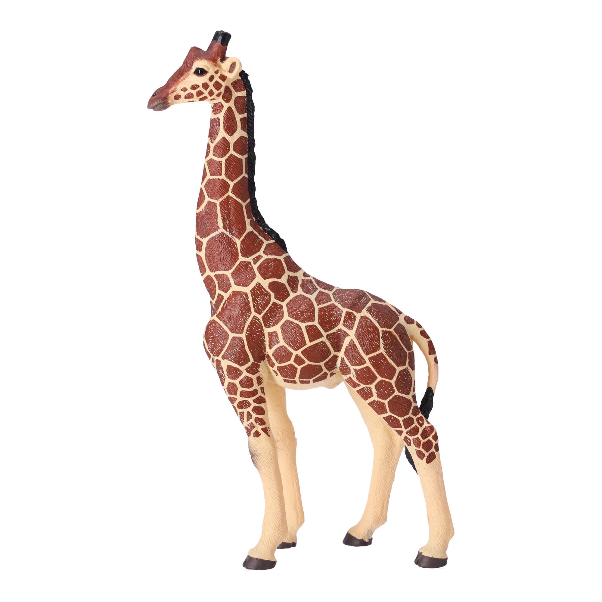 Collector figurine Giraffe male, Papo