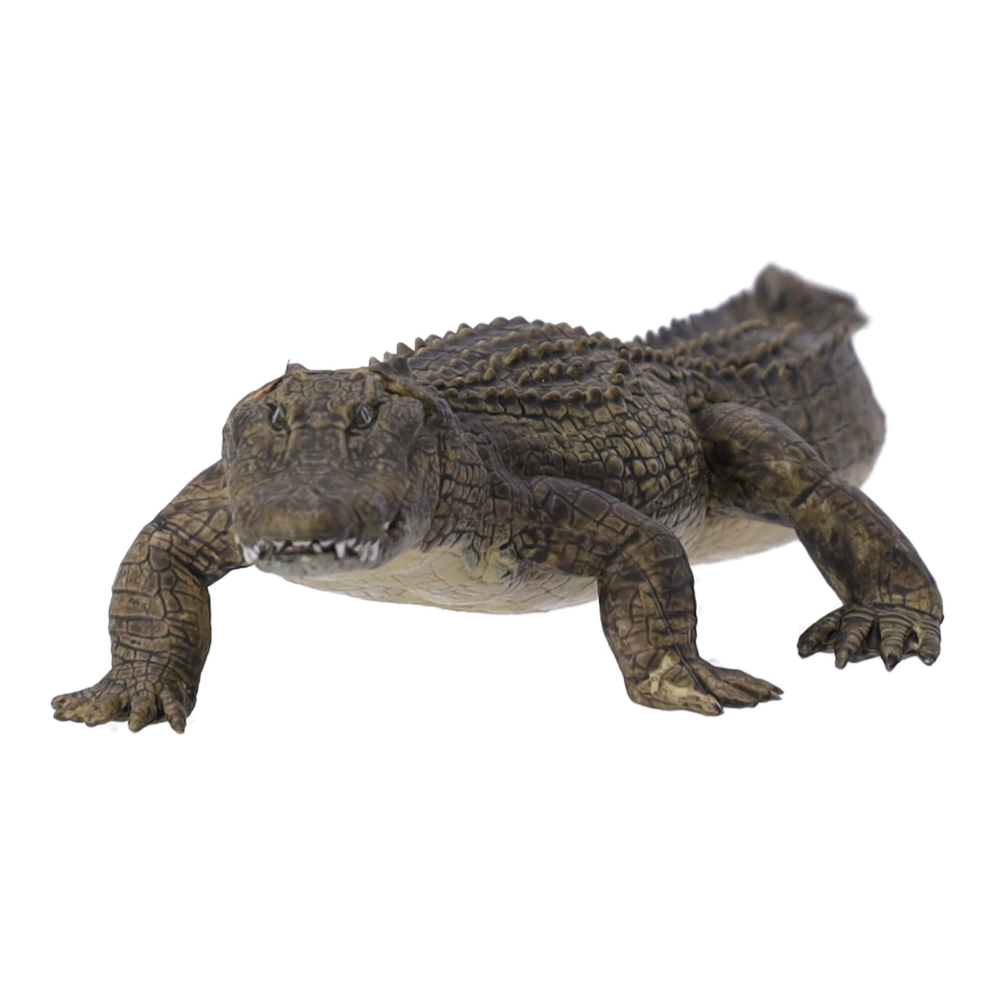 Collectible figurine Alligator, Papo
