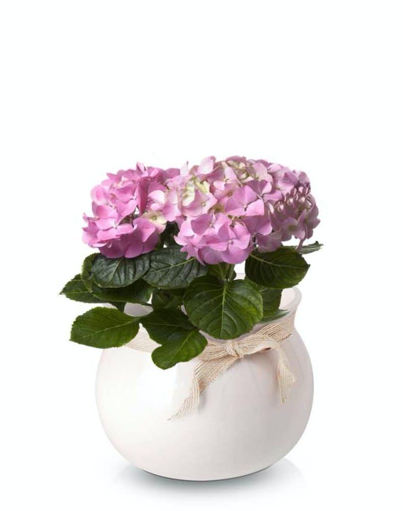 Ceramic pot with a ribbon - powder pink - LISBON collection