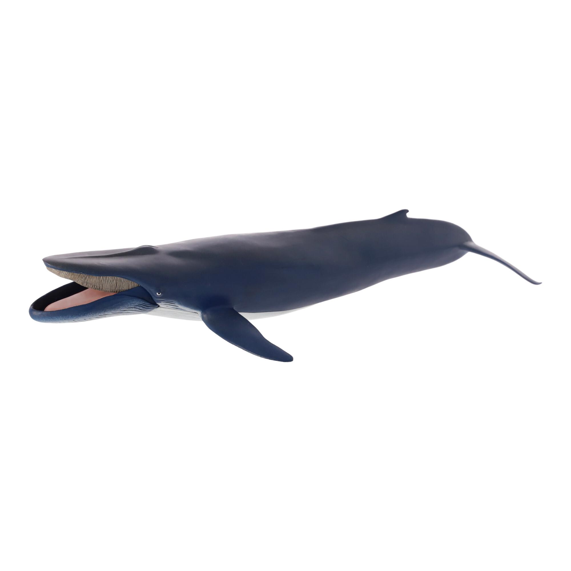 Collectible figurine Blue whale, Papo