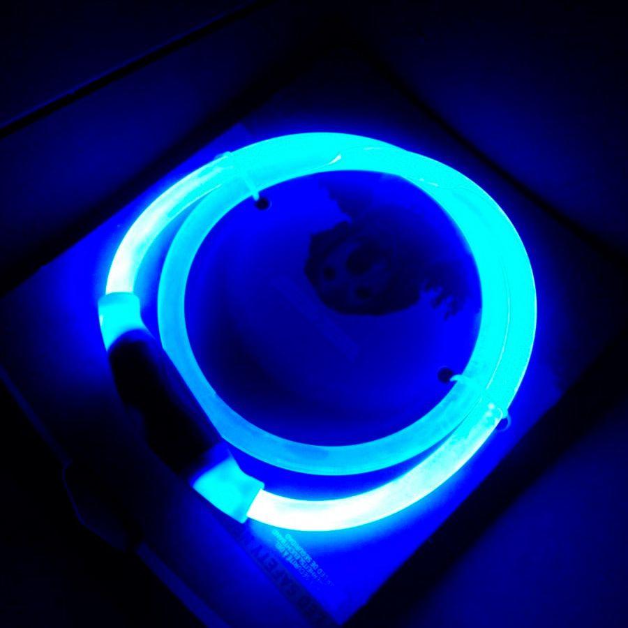 Obroża LED dla psa, obwód szyi 70cm - niebieska