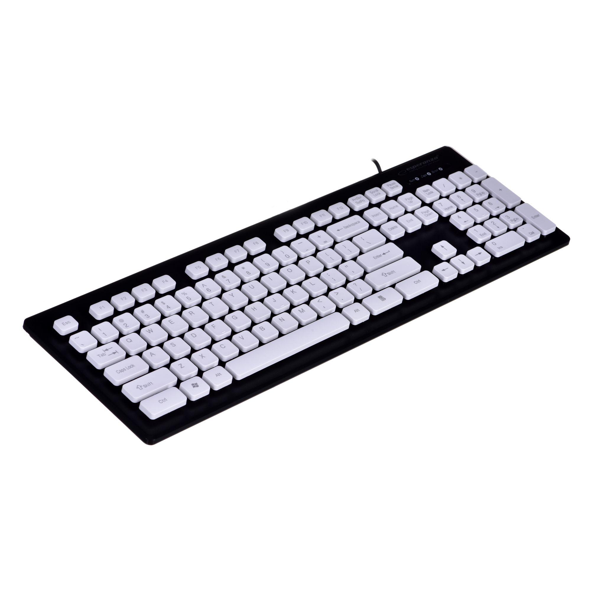 Esperanza EK130K keyboard USB QWERTY UK English Black,Silver