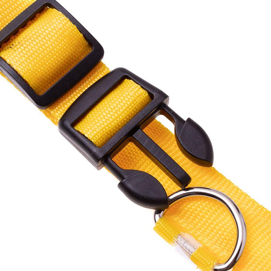 LED dog collar, size M - yellow