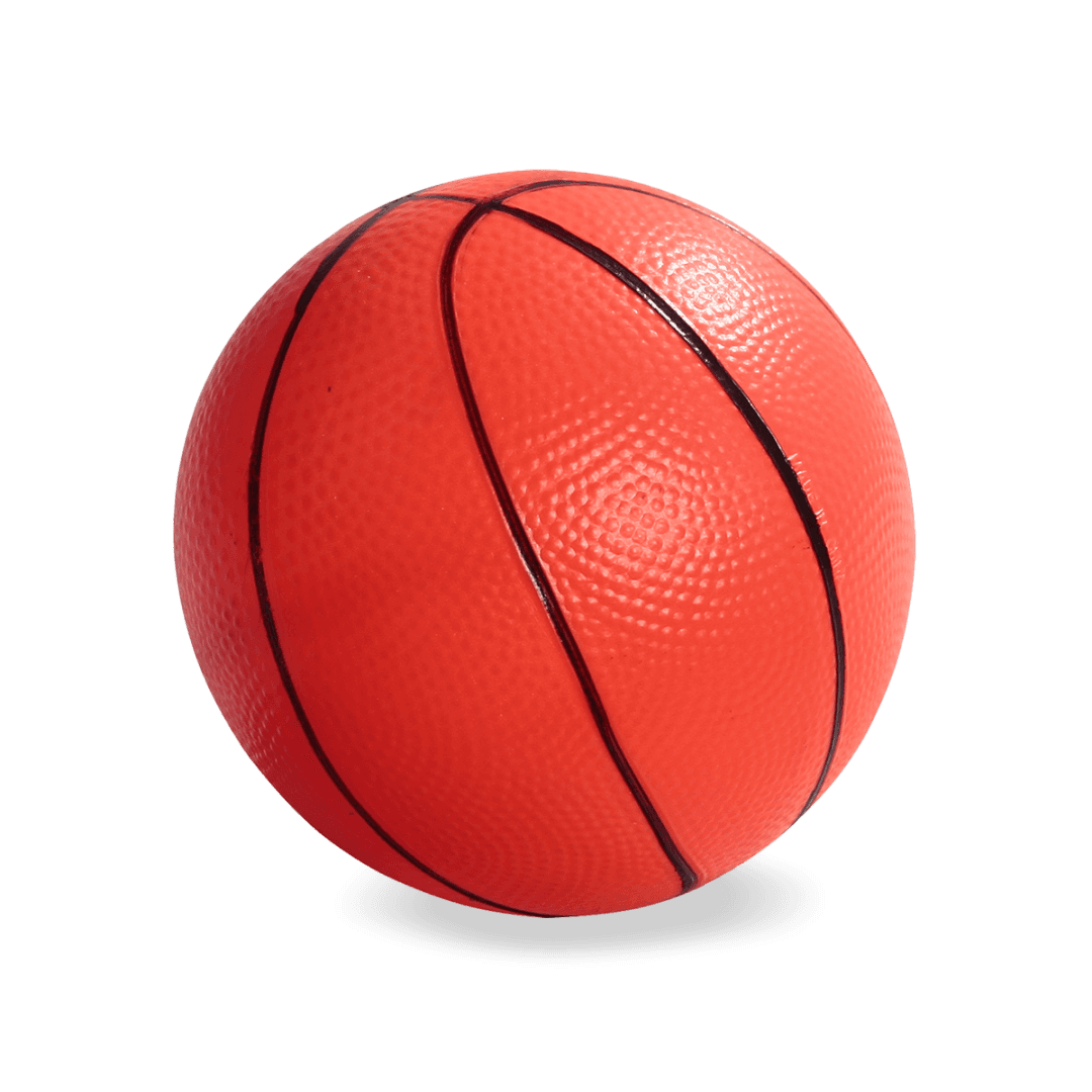 Basketball Set + Soccer Goal by Pilsan
