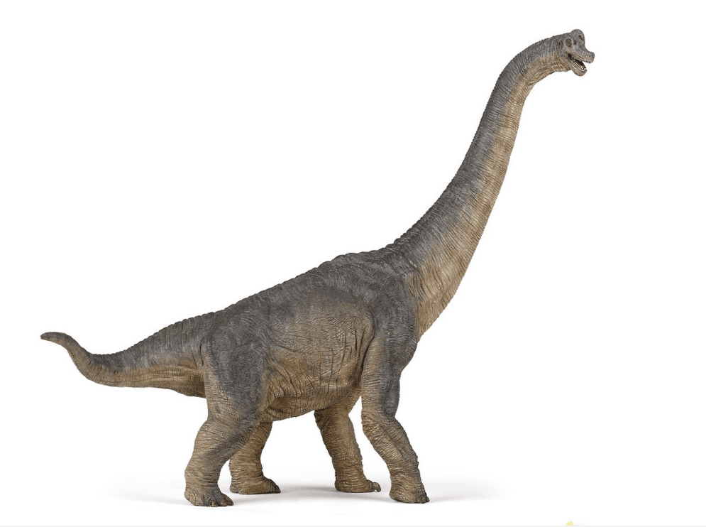 Figurka kolekcjonerska Dinozaur Brachiozaur, Papo