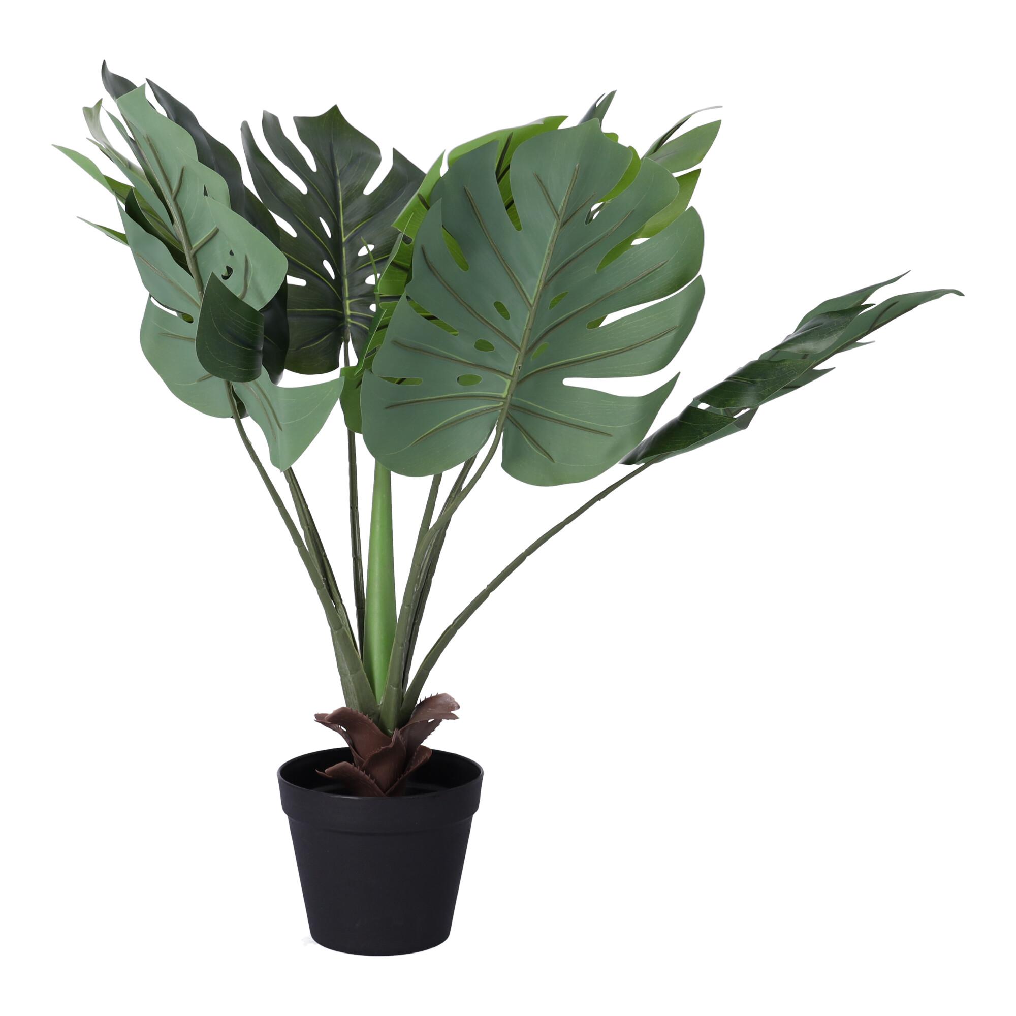 Sztuczna roślina dekoracyjna wysokość 70 cm - typ. 5