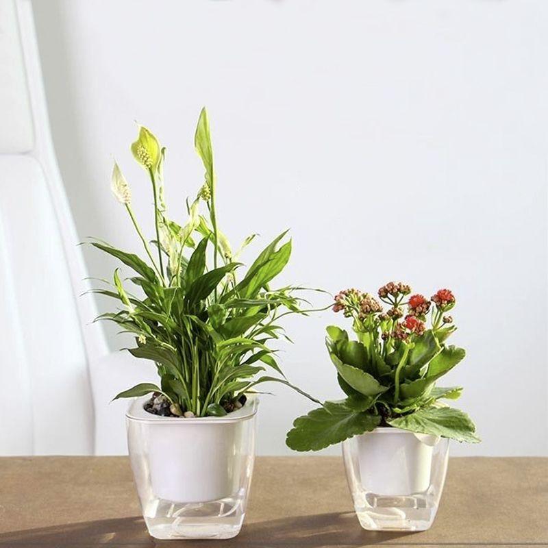 Samonawadniająca doniczka / donica do kwiatów i roślin- średnia