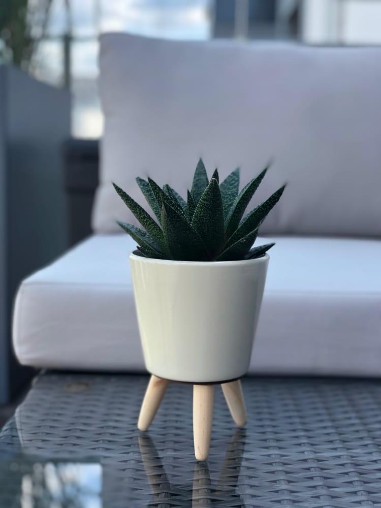 Wooden stand for a 9 cm pot or cover