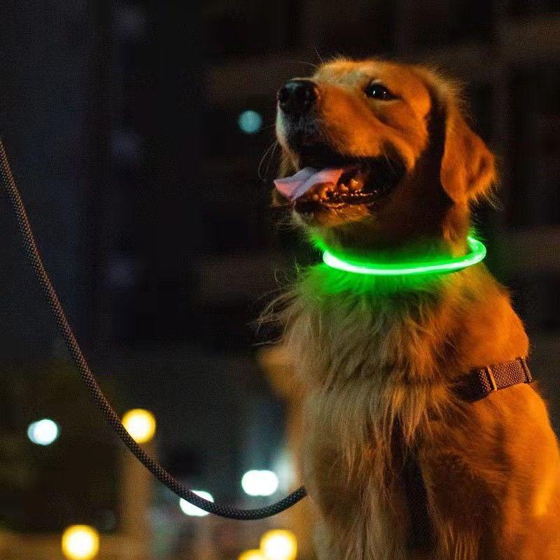 LED dog collar, neck 35cm - green