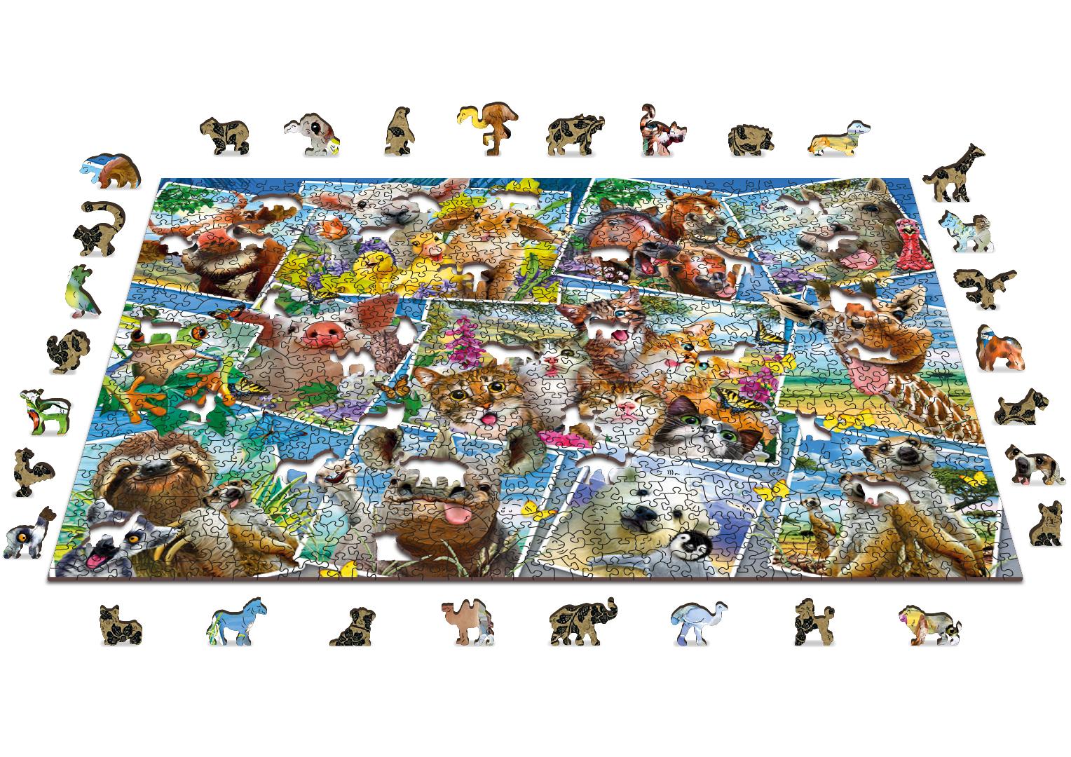 ooden Puzzle with Figures - Postcards with Animals, 1010 elements