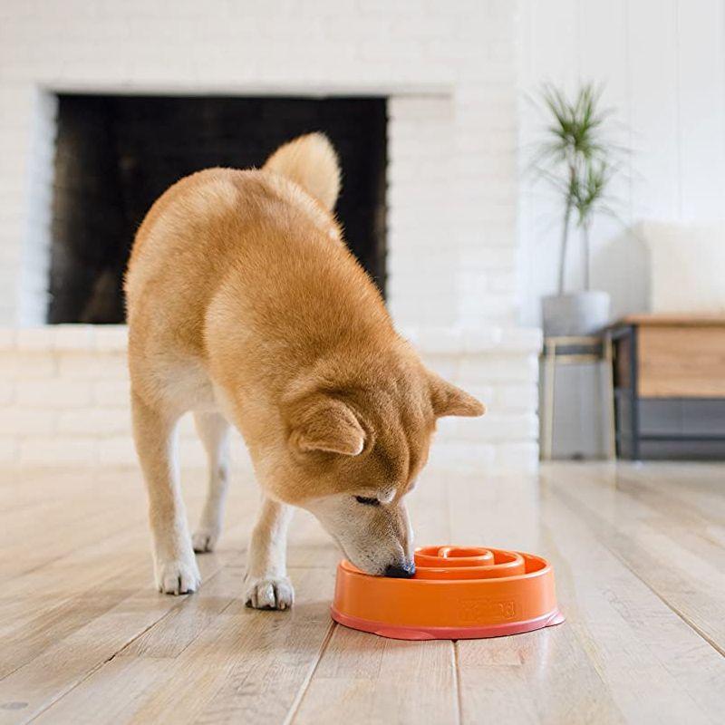 Bowl slowing dog / cat food - orange