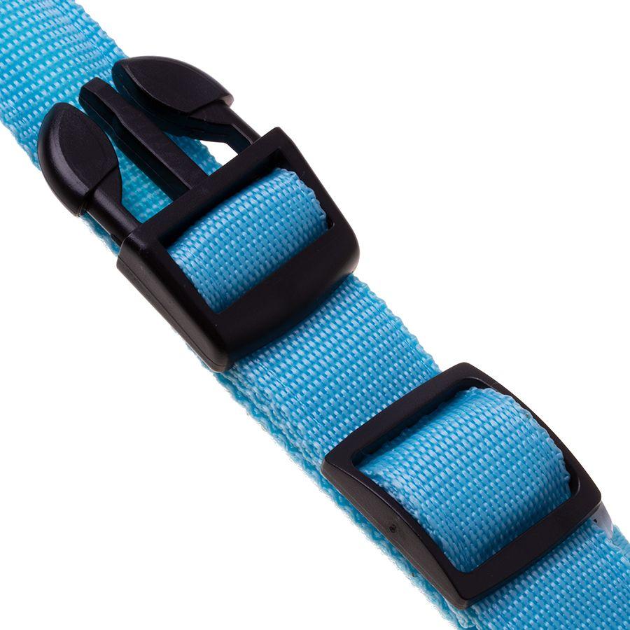 LED dog collar, size L - blue