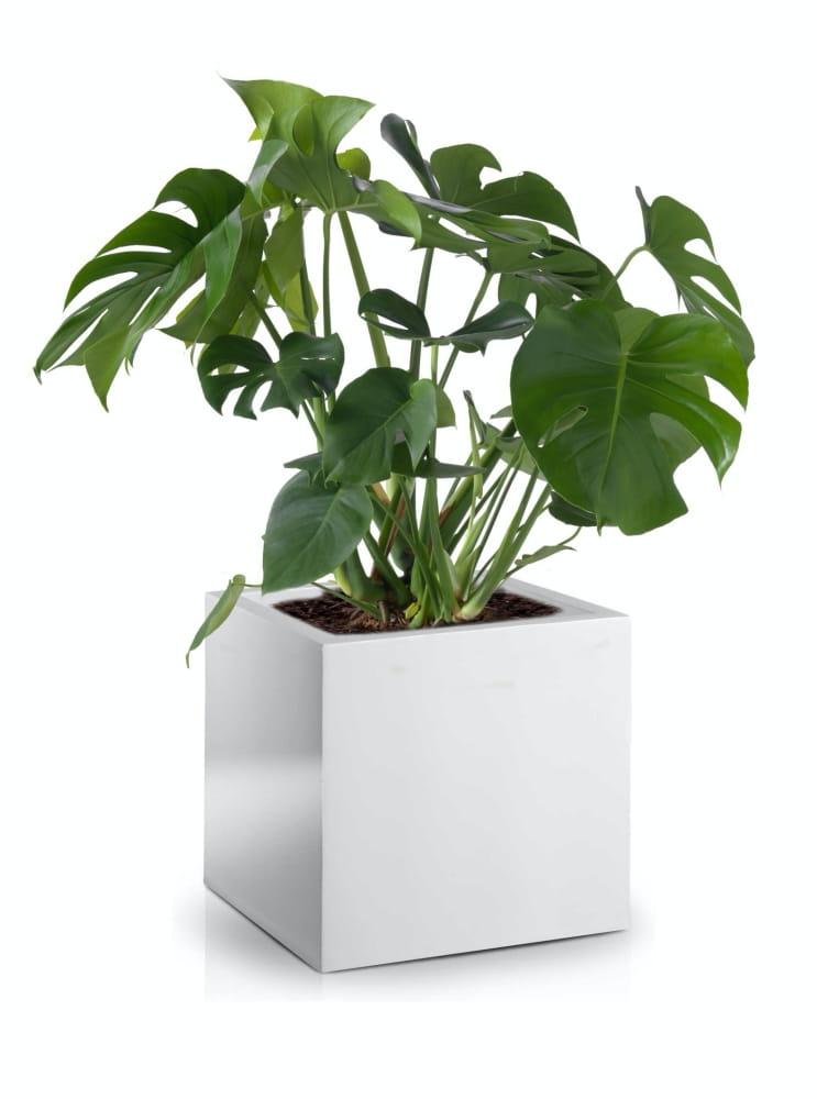 Large cubic fiberglass pot 40 cm - white