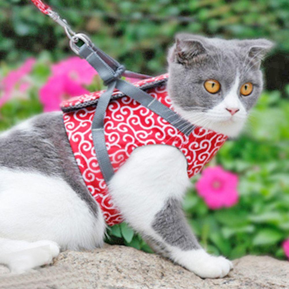 Cat / Dog Harness - Red, size XS