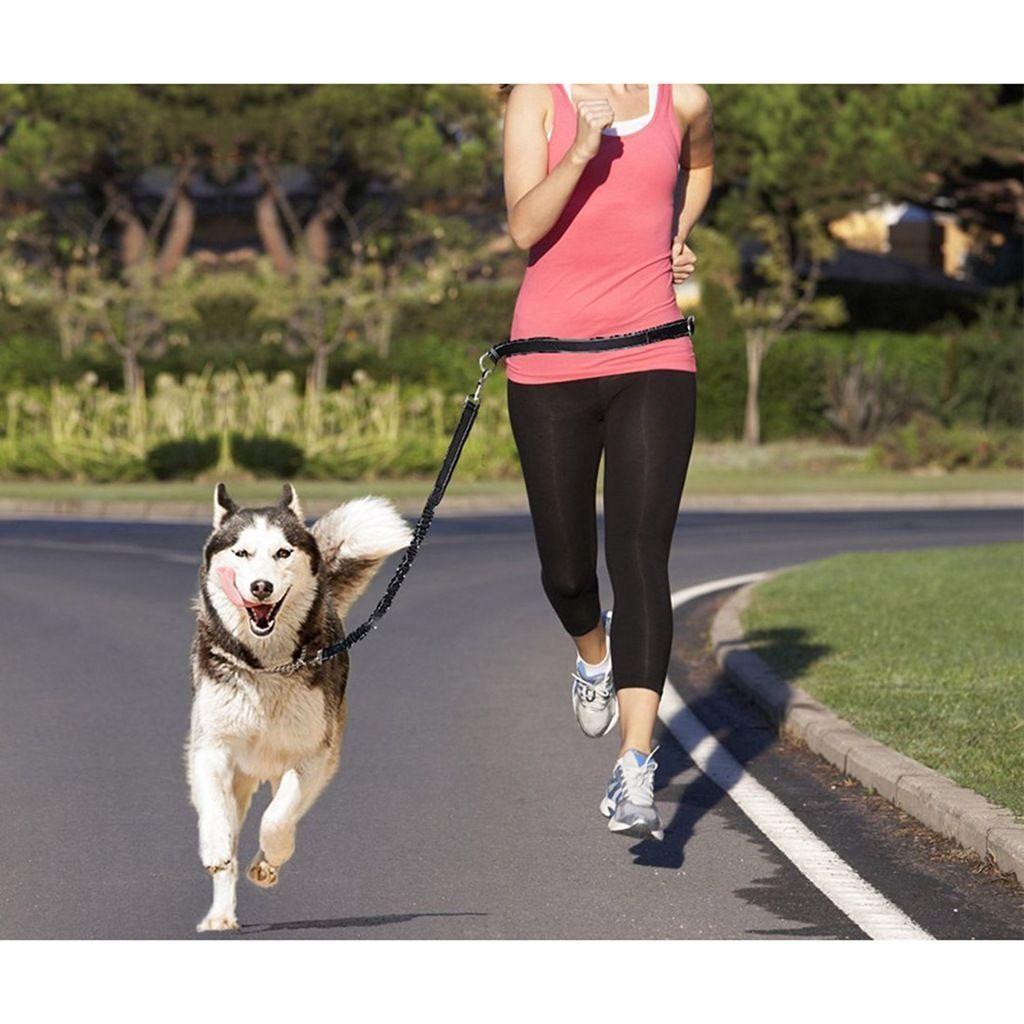 Smycz do biegania z psem + pas biodrowy