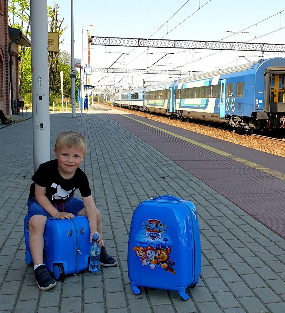 Paw Patrol travel suitcase on wheels - blue large